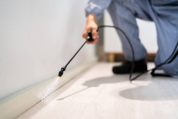 Licensed Pest Control service in Morrow County County, OR - Nex Pest Control