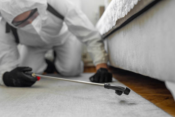 Professional Pest Control technician working in Morrow County County, OR